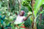 Living Farms