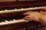 Applying the Goethean Scientific Method in Pipe Organ Tonal Finishing