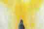 The Essence of the Anthroposophical Society: More than a Study Community