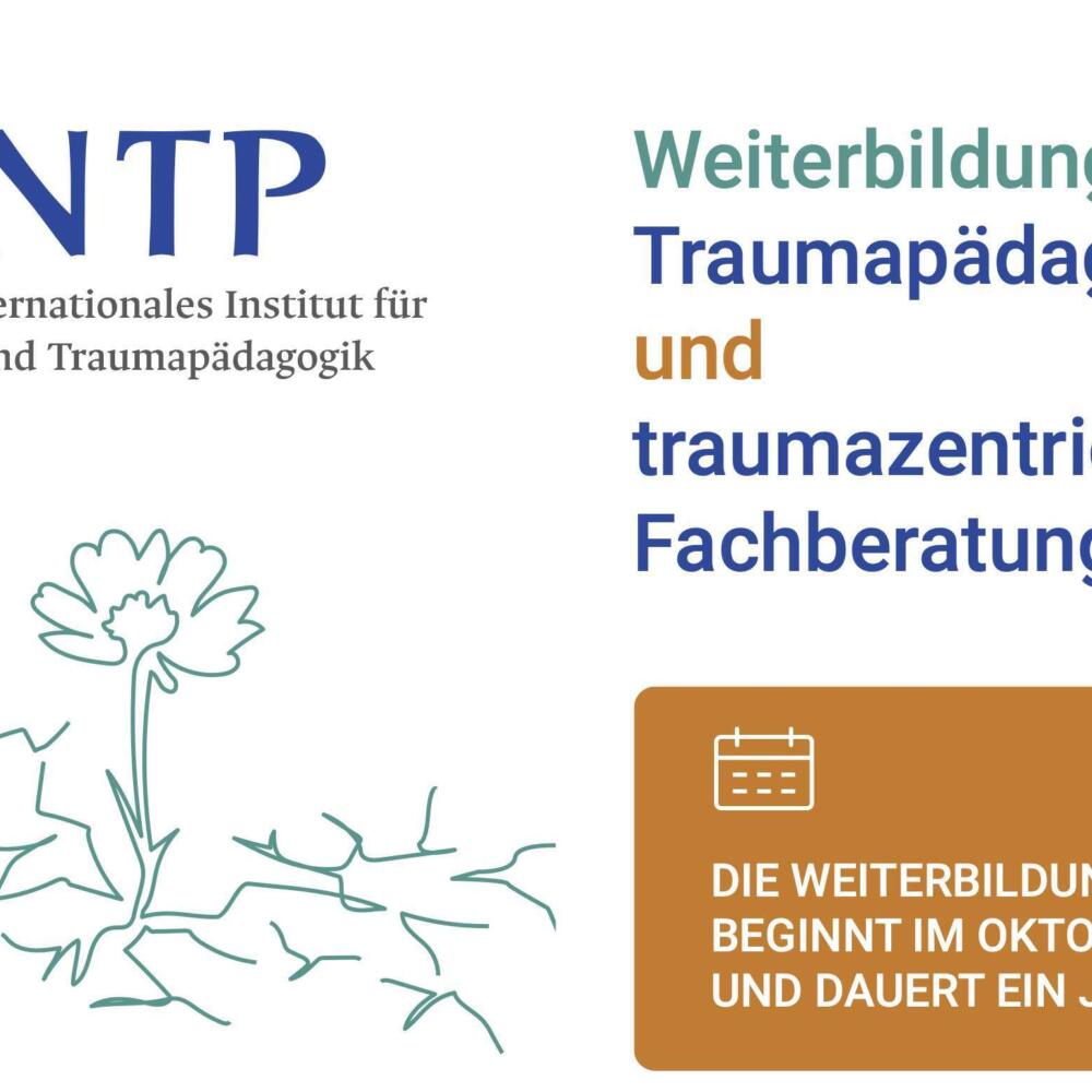 Formación continua en pedagogía del trauma y asesoramiento especializado centrado en el trauma