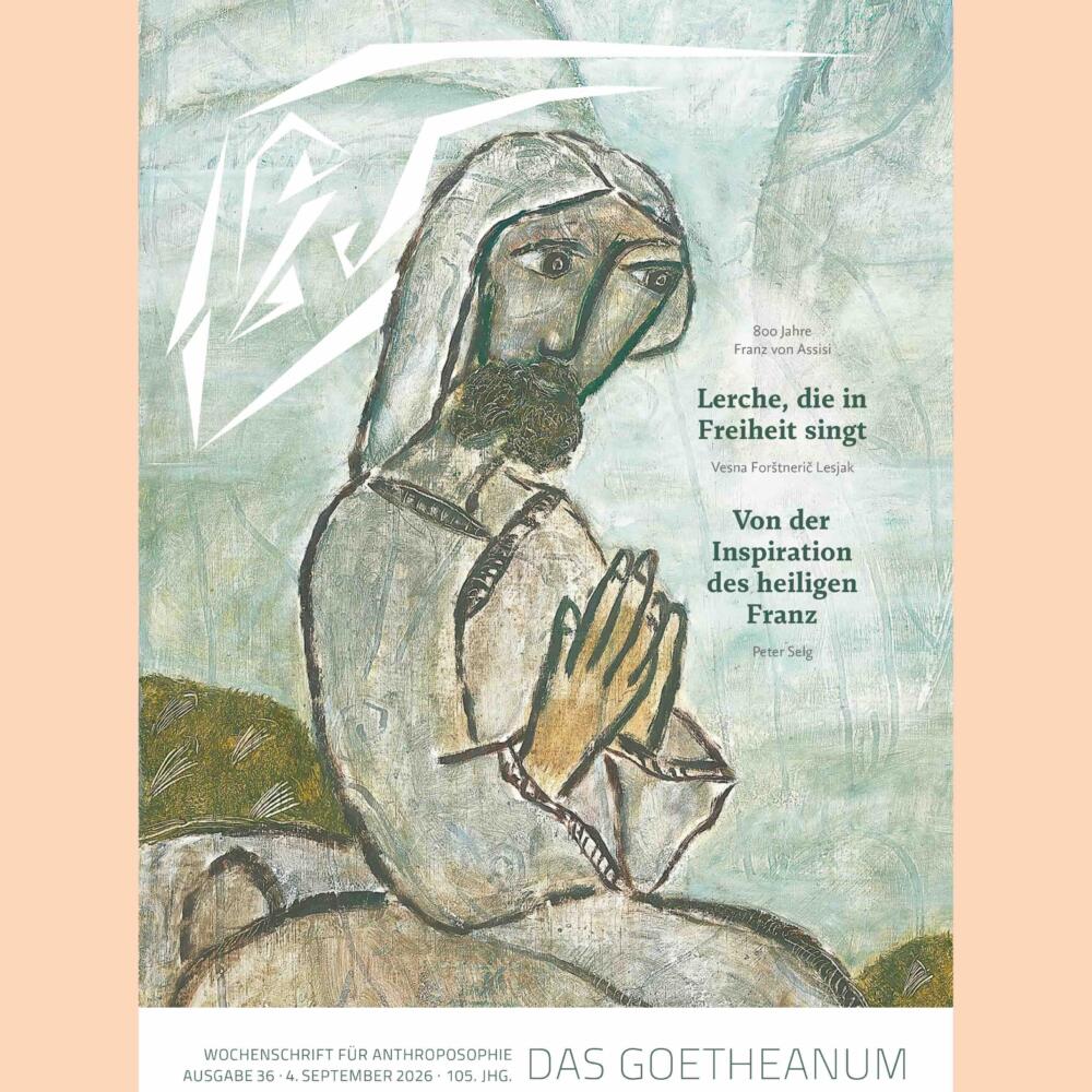 Reflexion über Gemeinschaftsbildung