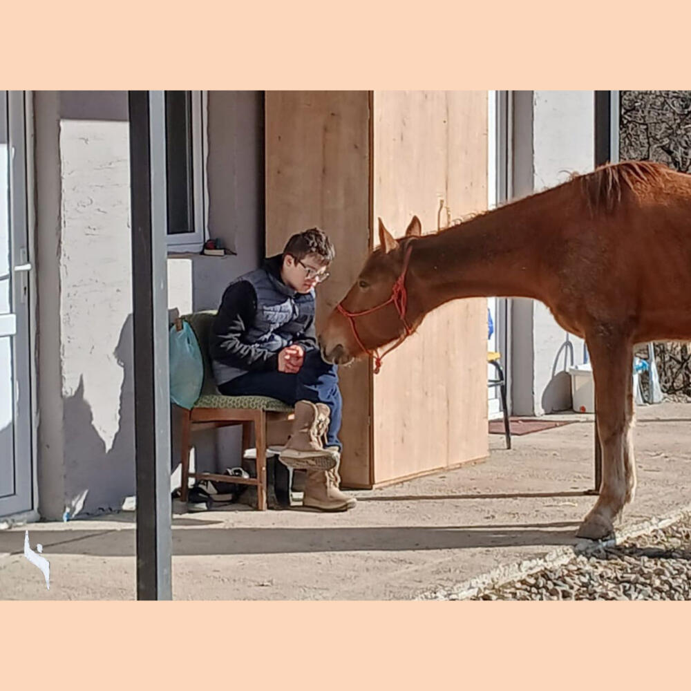 Social Day Program of the Community Parzival in Georgia