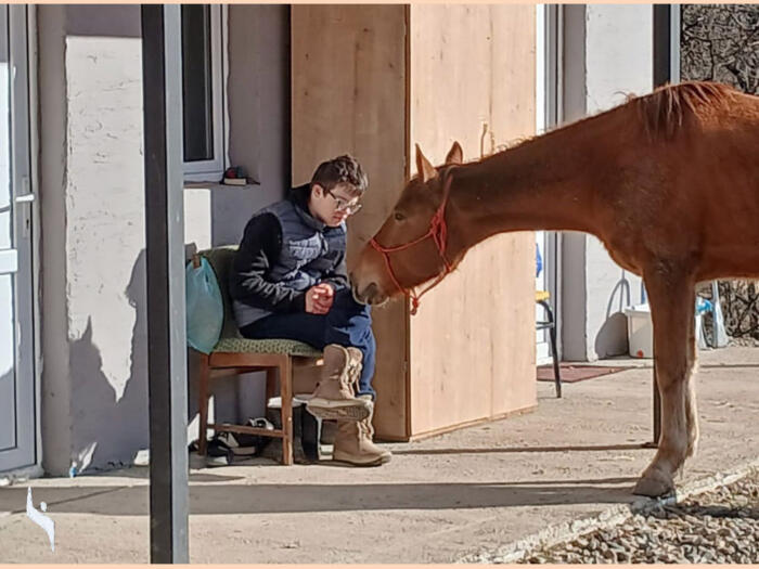 Social Day Program of the Community Parzival in Georgia