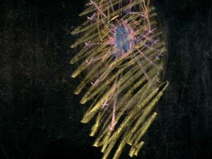 Michaelmas Conference 2026 – Cosmic Intelligence: The learning heart