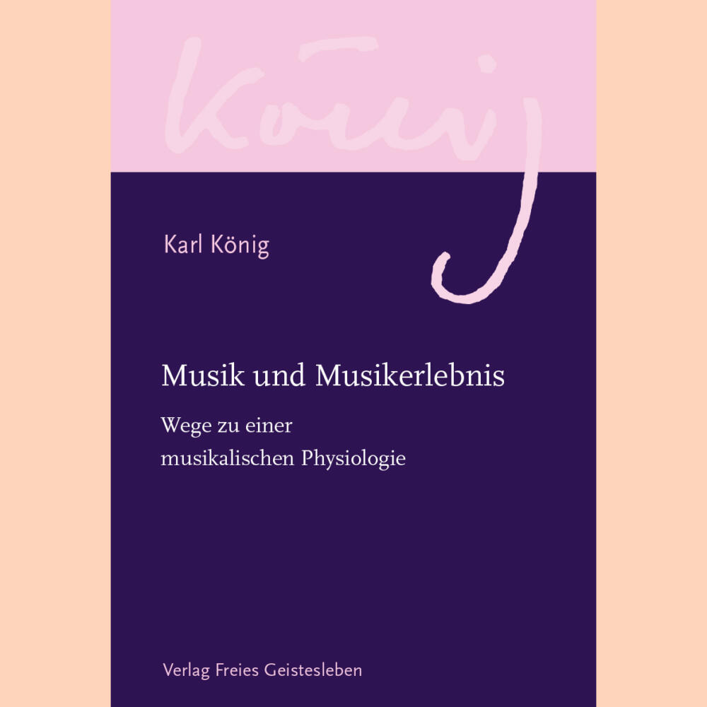 Musik und Musikerlebnis