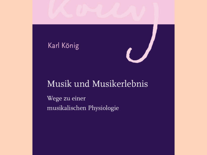 Musik und Musikerlebnis