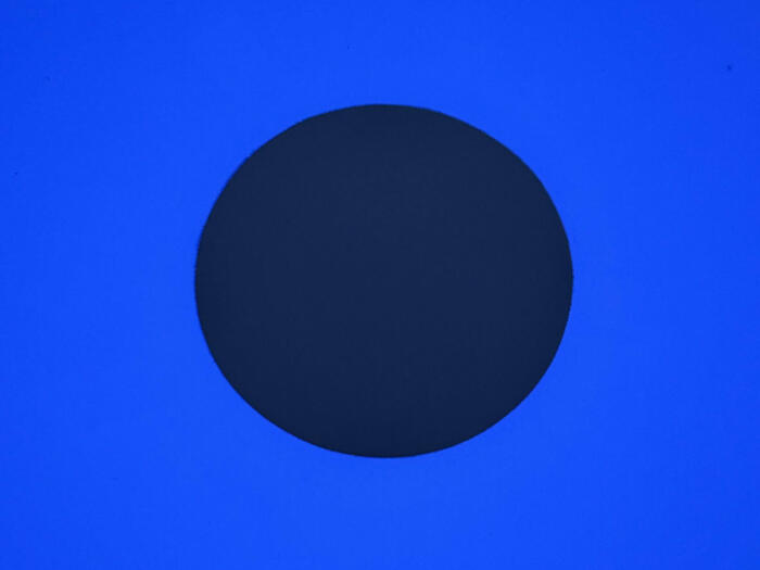 Retreat of the 'Esoteric-Professional Circle'