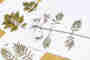 Natural Science Training