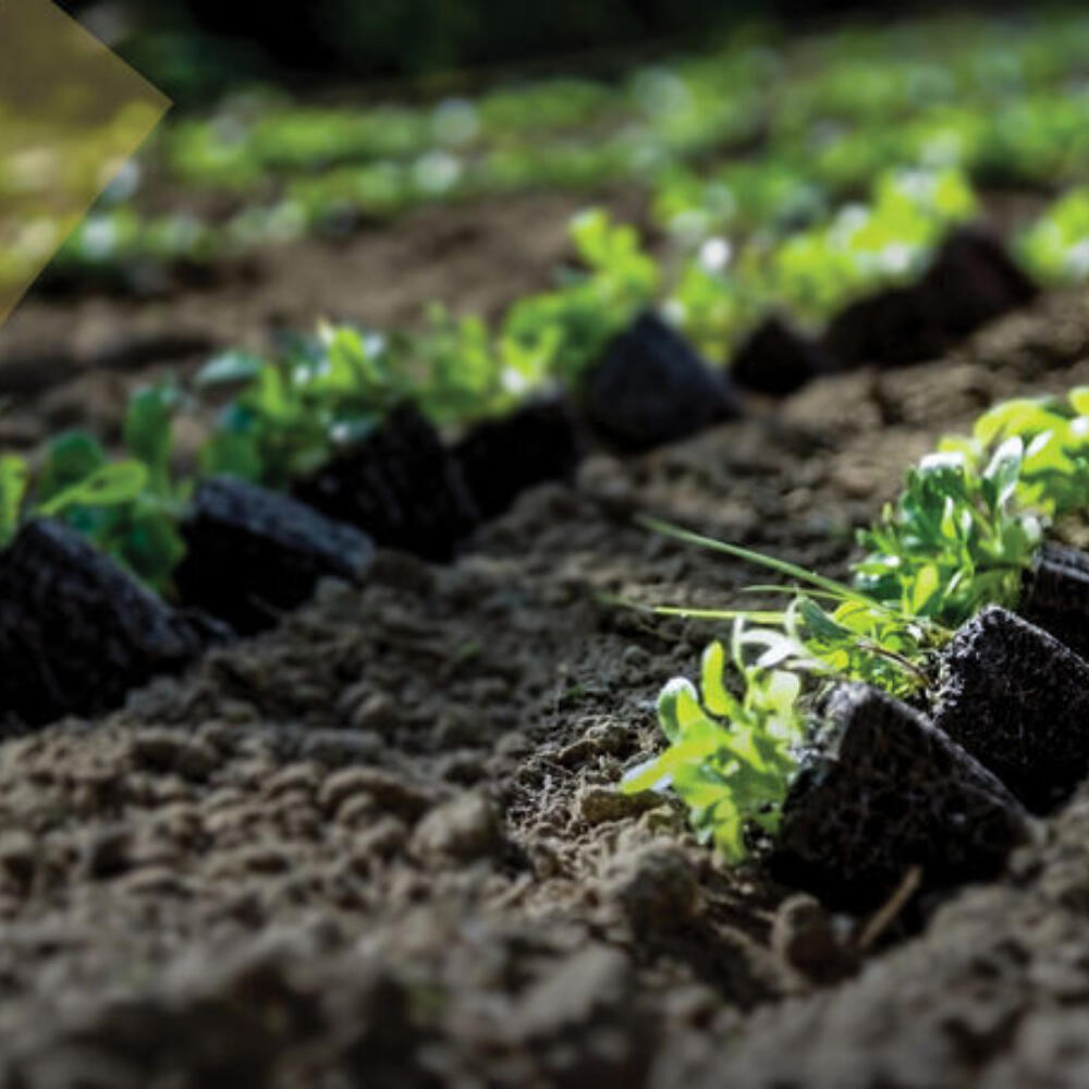Video: Die biodynamische Qualität – gibt es sie wirklich?