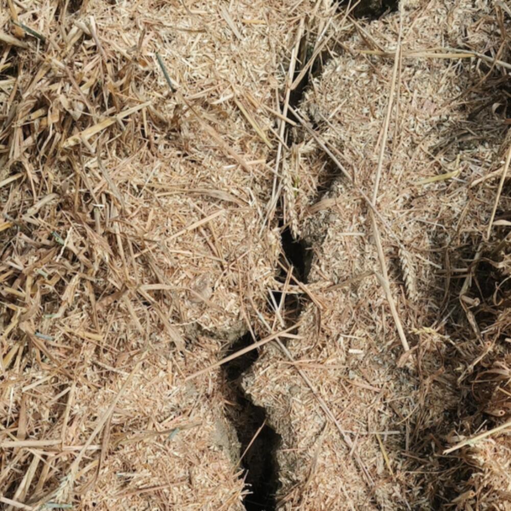 Climate-resilient agriculture