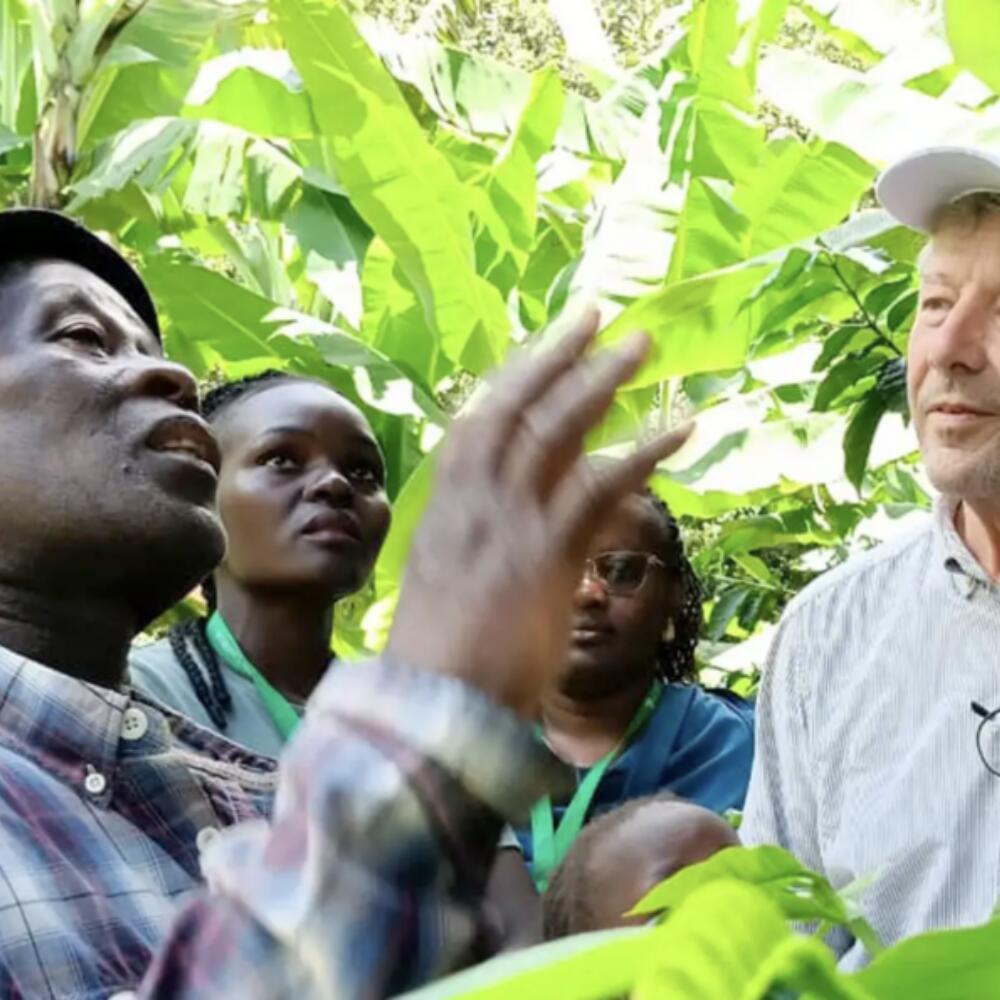Biodynamic agriculture under the conditions of smallholder agroforestry systems