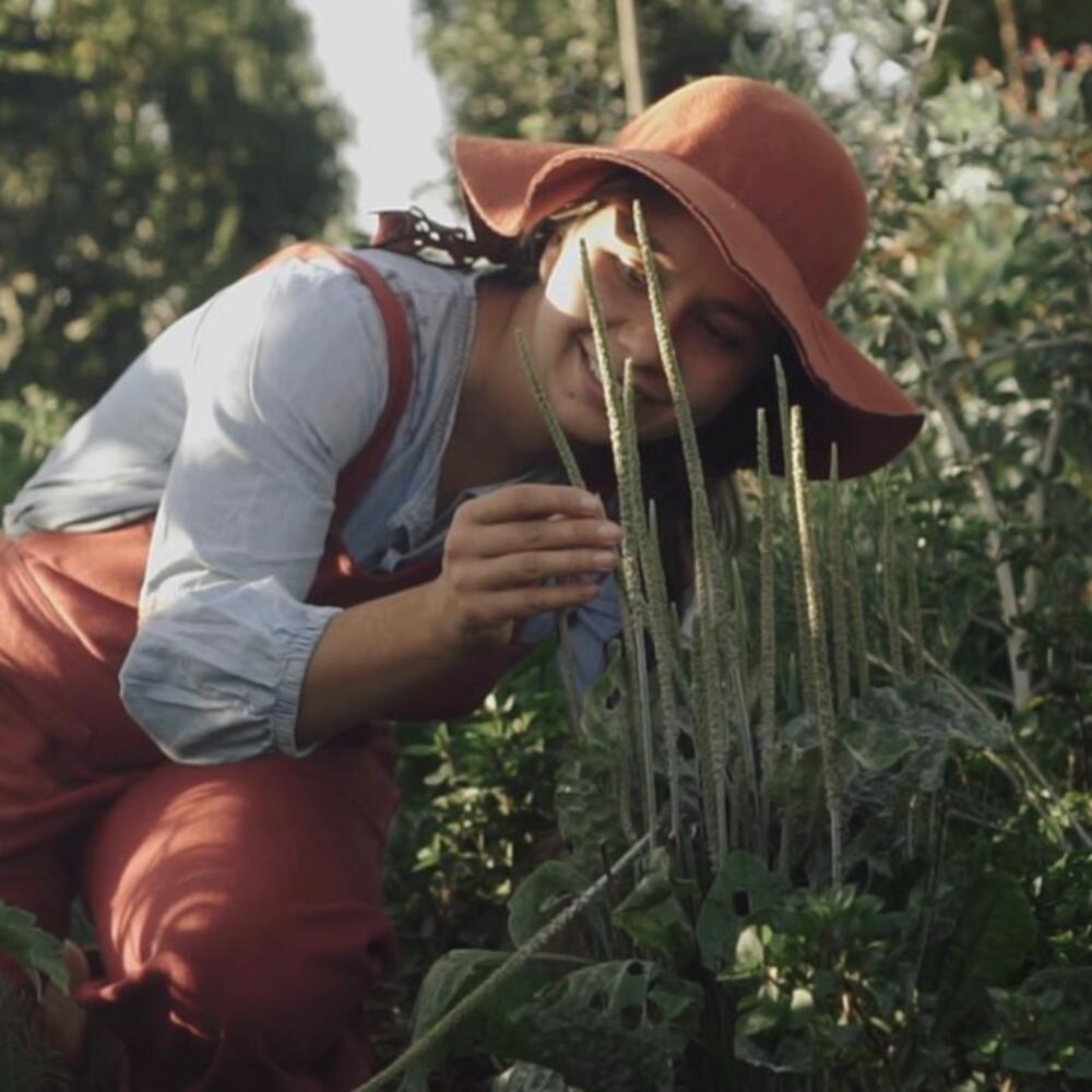 Neue Podcast-Staffel: Biodynamik und ganzheitliche Agrarökologie