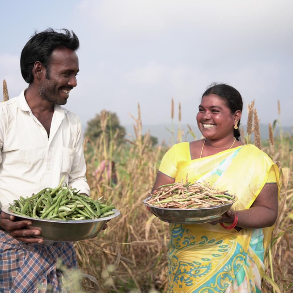 Sustainable agriculture works!