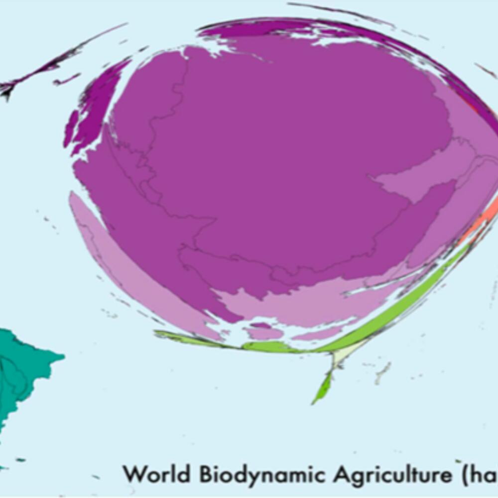 Where biodynamics is taking root