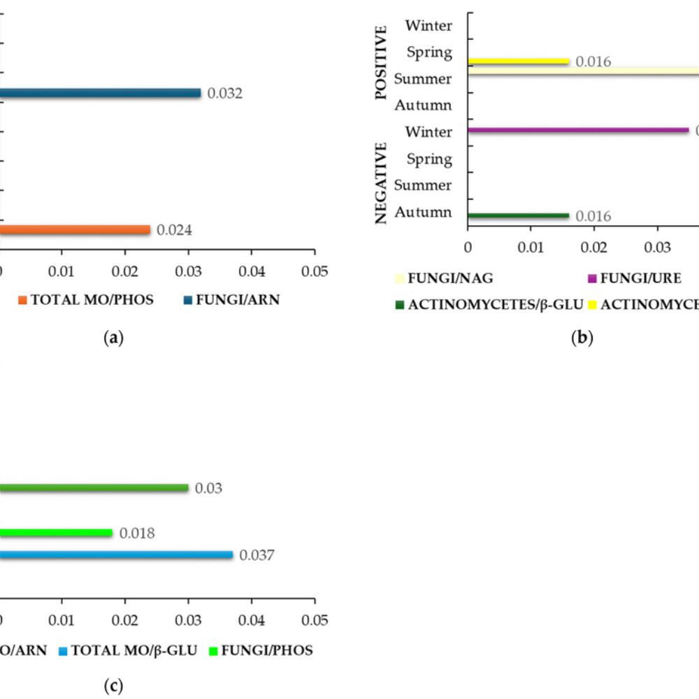 Biodynamic agriculture promotes stable soil ecosystems