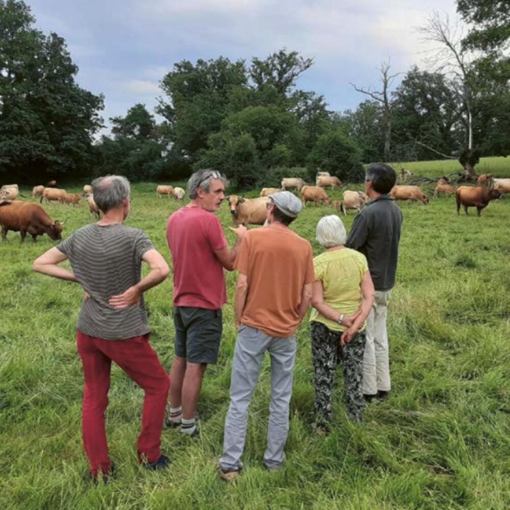 Exploring new avenues: transdisciplinarity in agricultural research