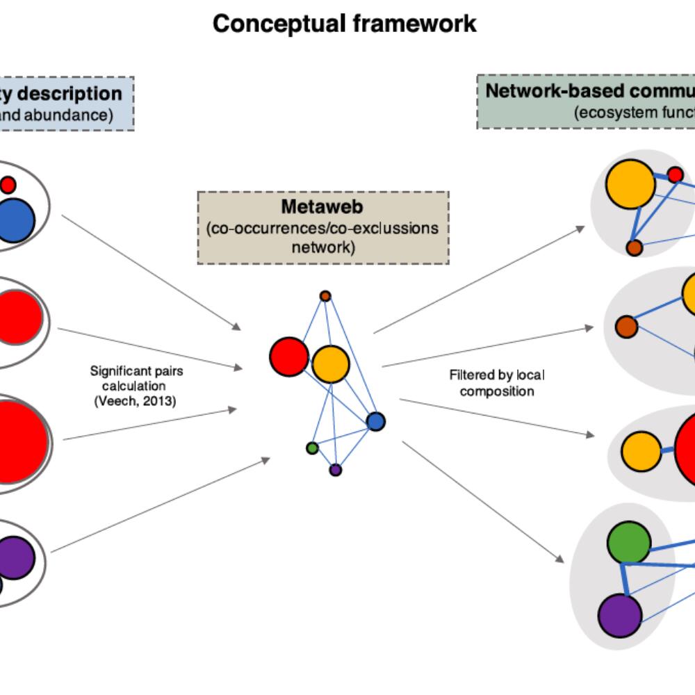Biodynamic agriculture favours adaptive fungal communities