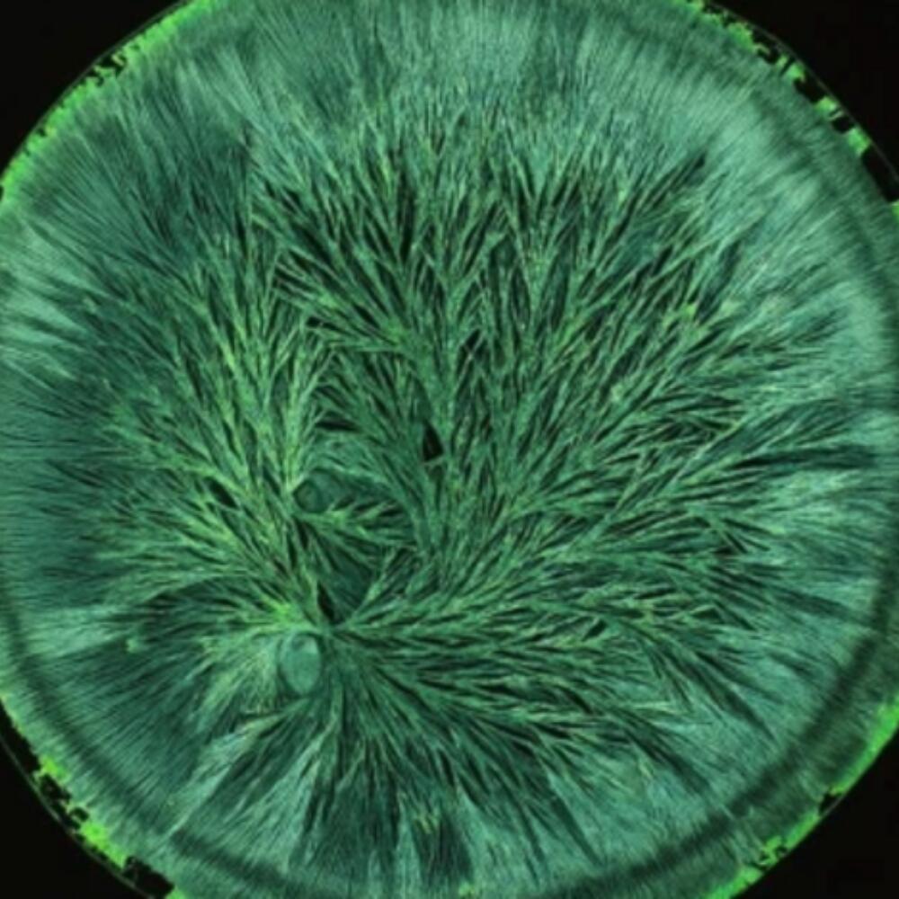 An update on image forming methods