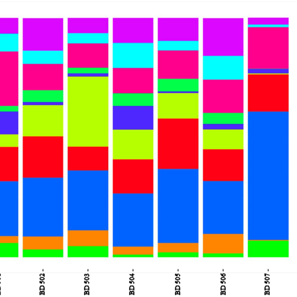 New research on bacterial diversity in biodynamic preparations