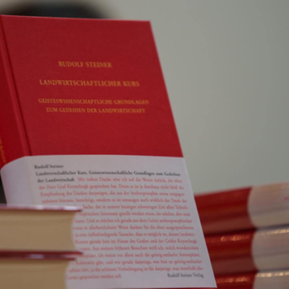 Tätigkeitsbericht der Sektion 2021