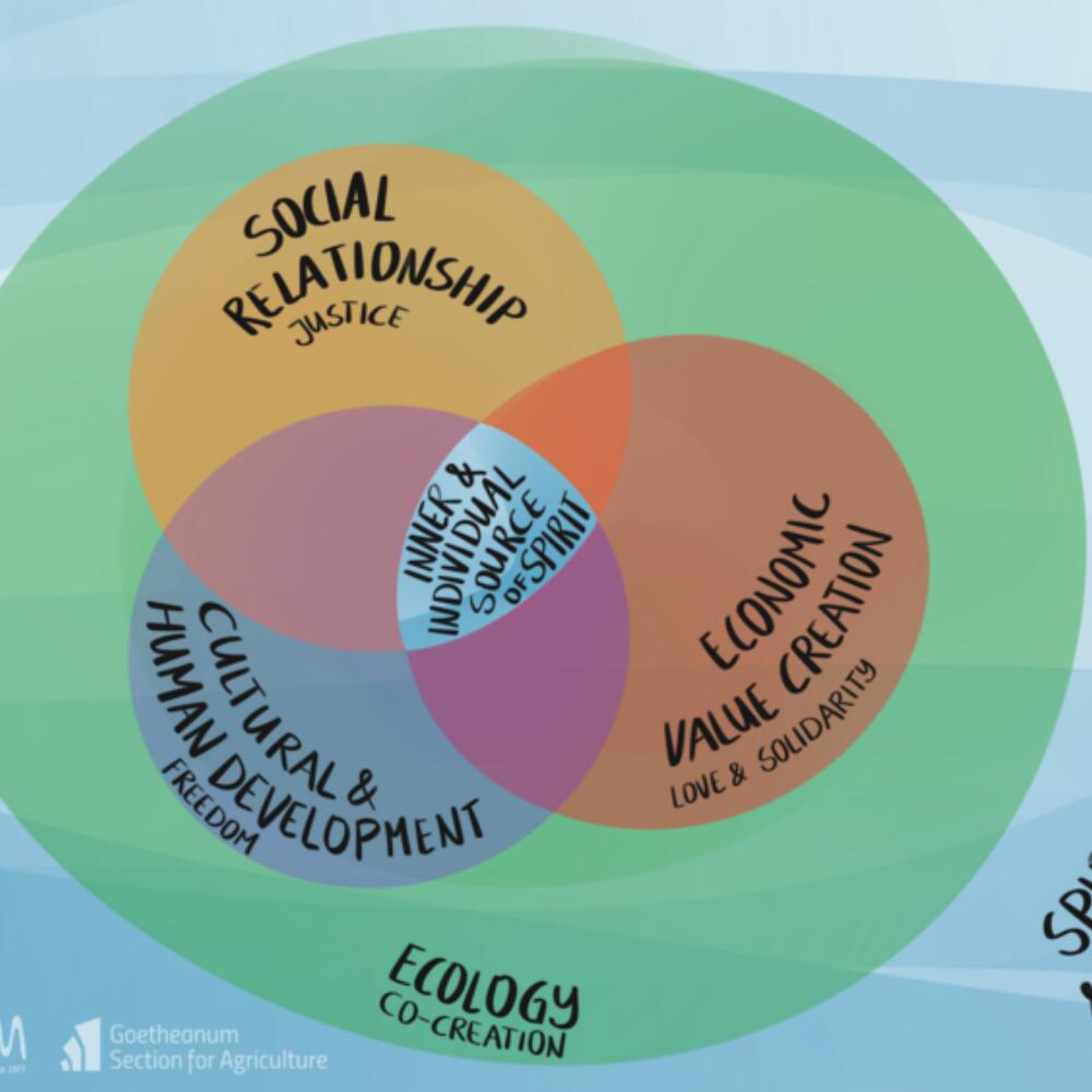 World Goetheanum Forum 2025 in Sekem – Rückblick