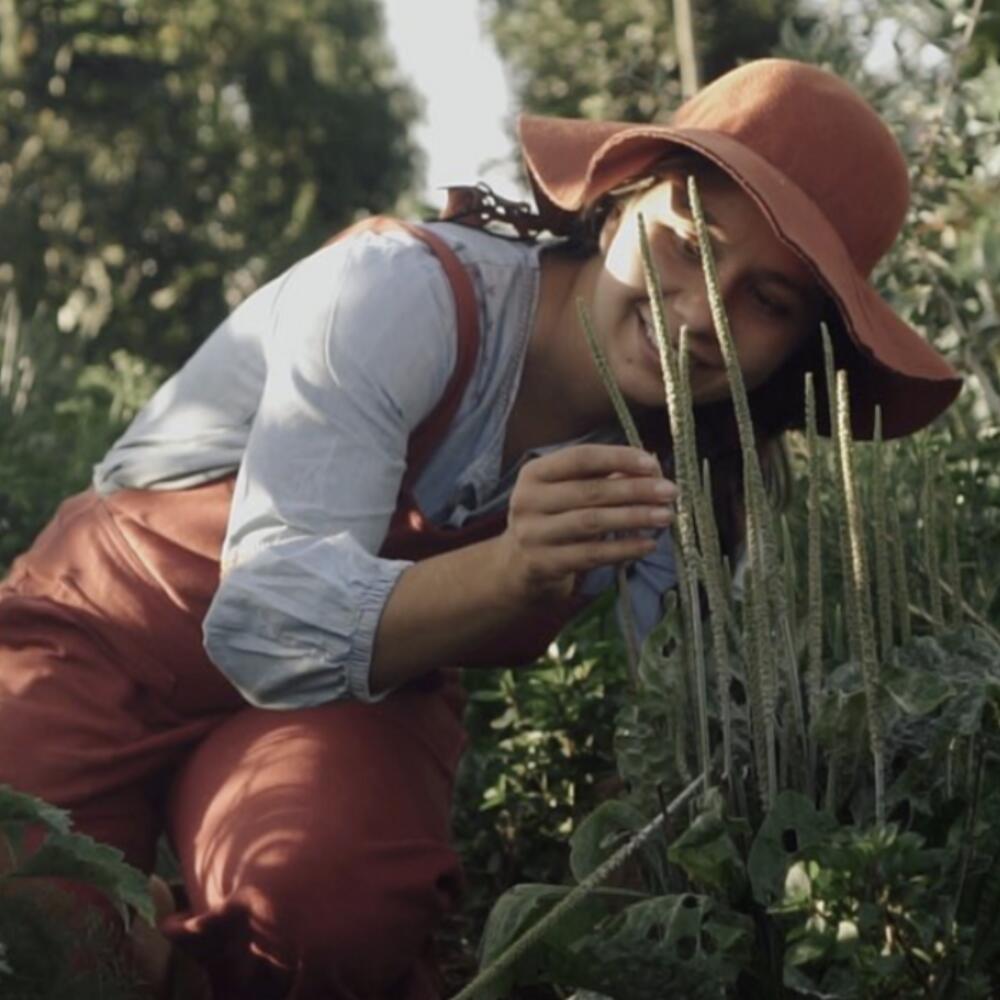 #31 Syntropic Agriculture