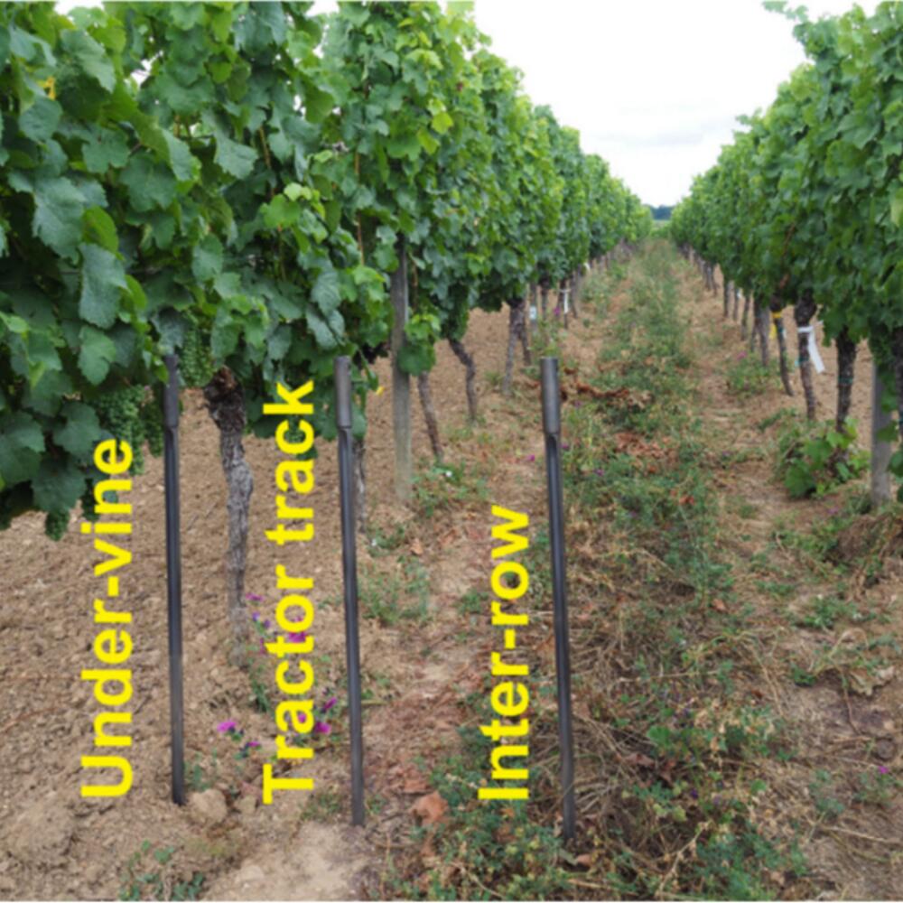 Copper and carbon: long-term effects in biodynamic viticulture