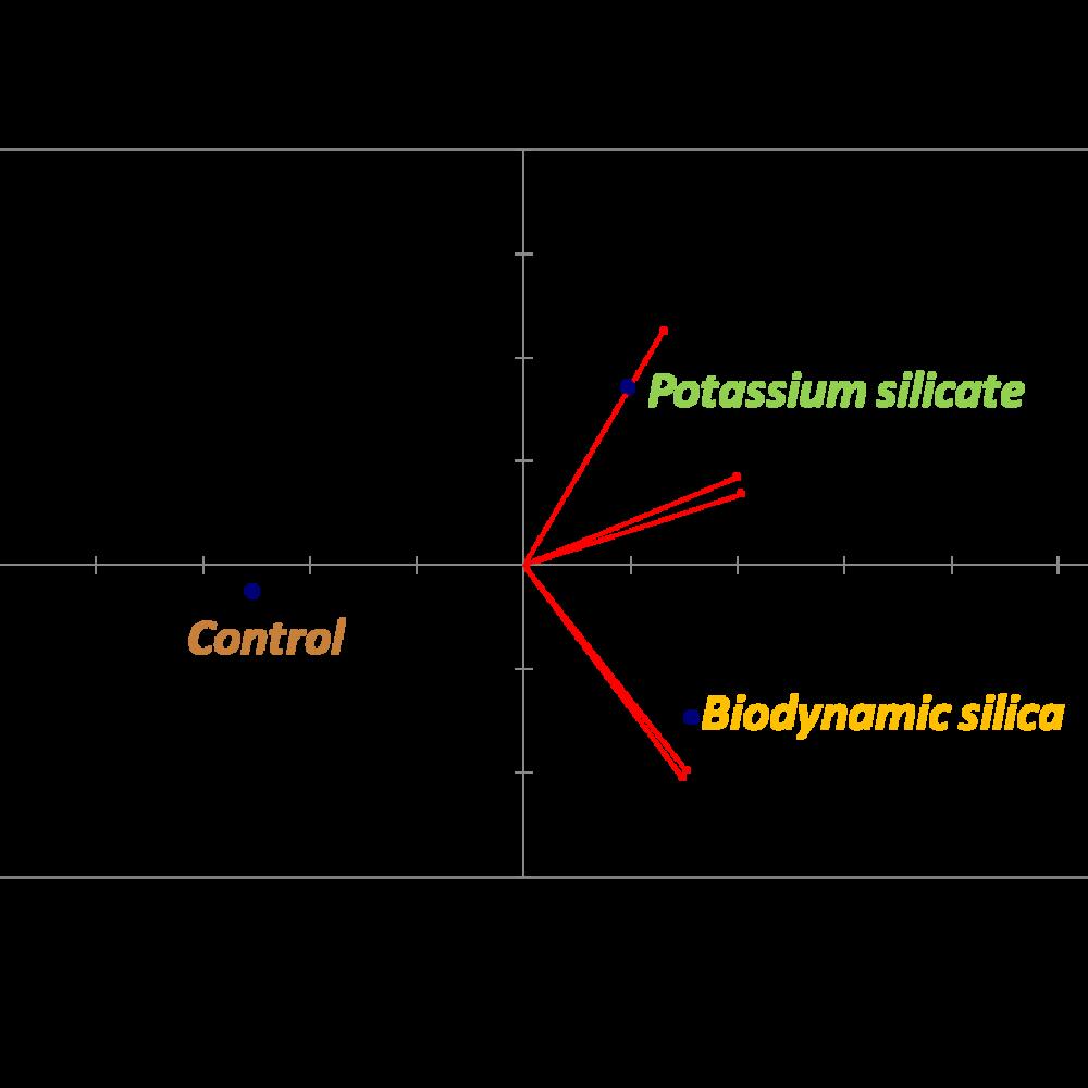 Silica in viticulture strengthens the vine and increases wine quality
