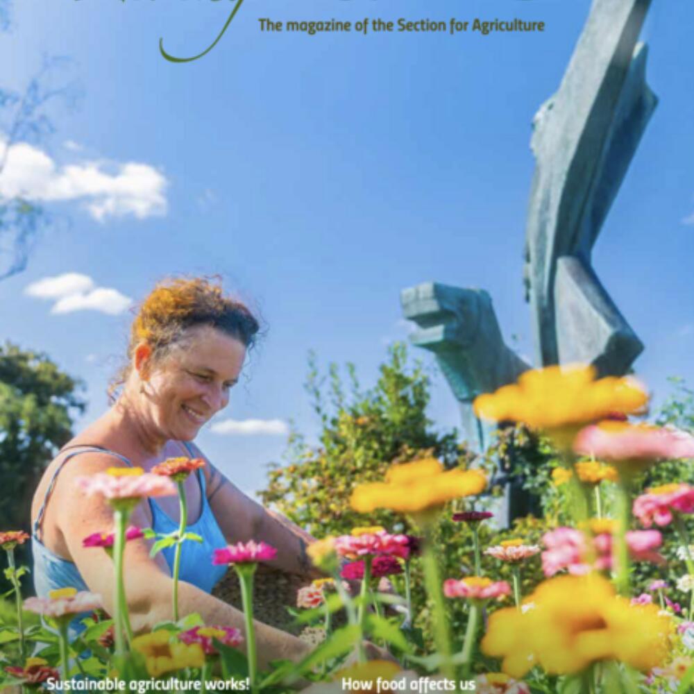 Agriculture of the future