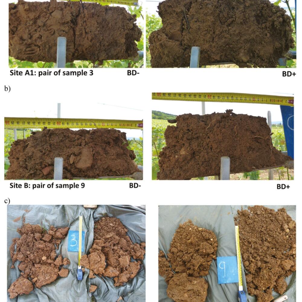 Biodynamic farming significantly leads to better soil agregate stability and microbiological activity of soil bacteria