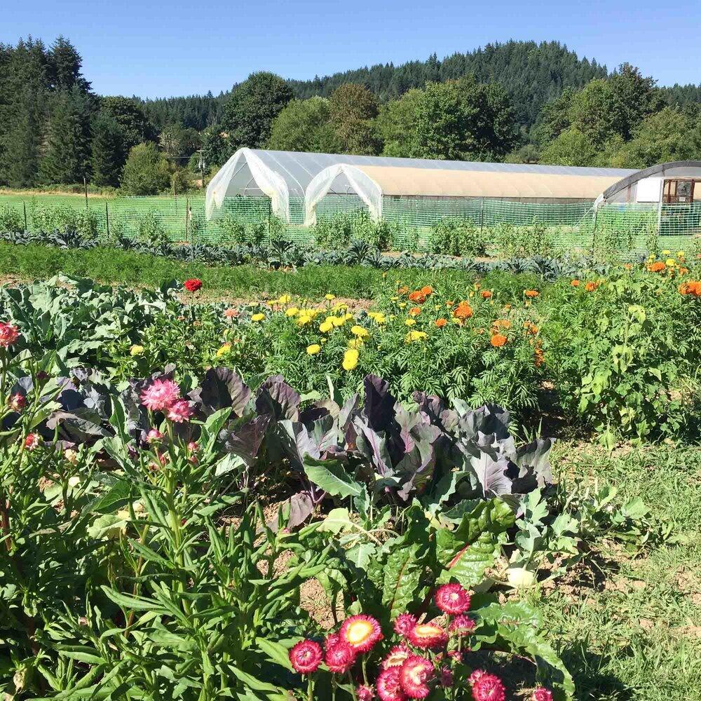 Zukunftsvision für die Biodynamik in den USA