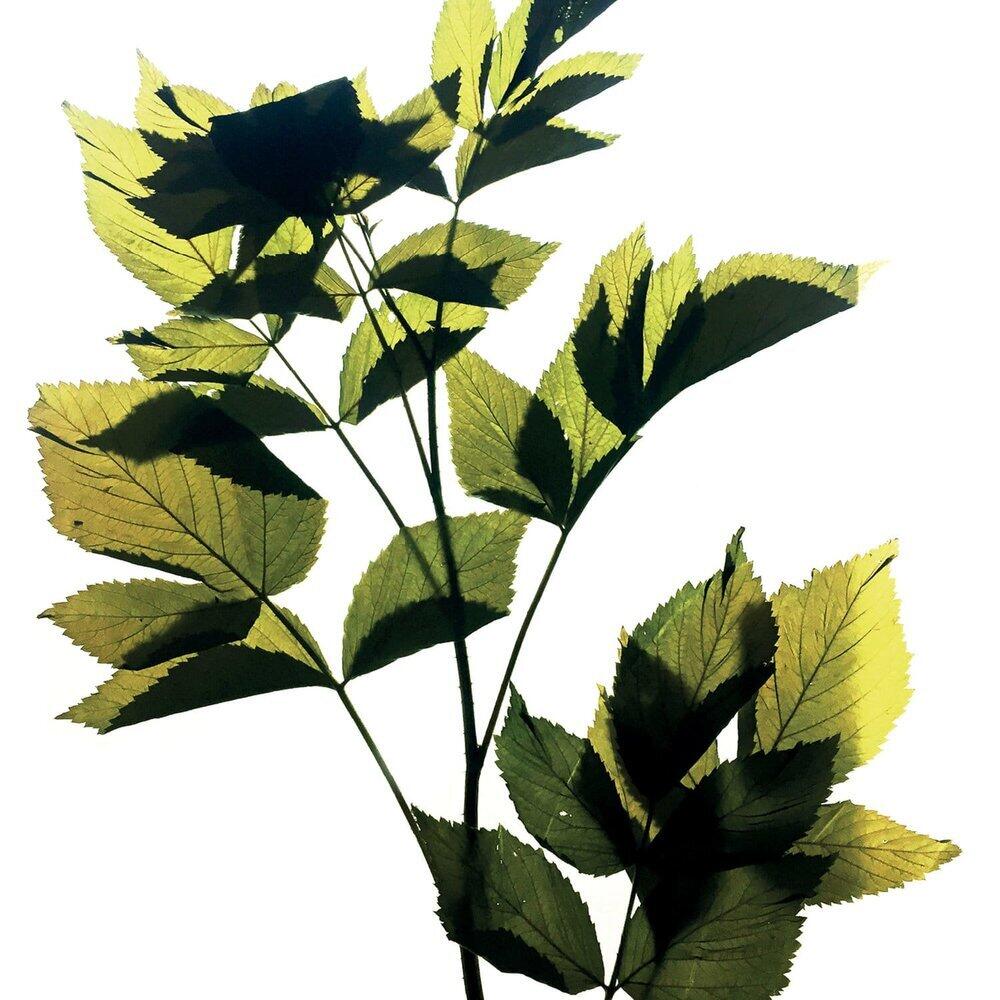 Das Blatt wendet sich