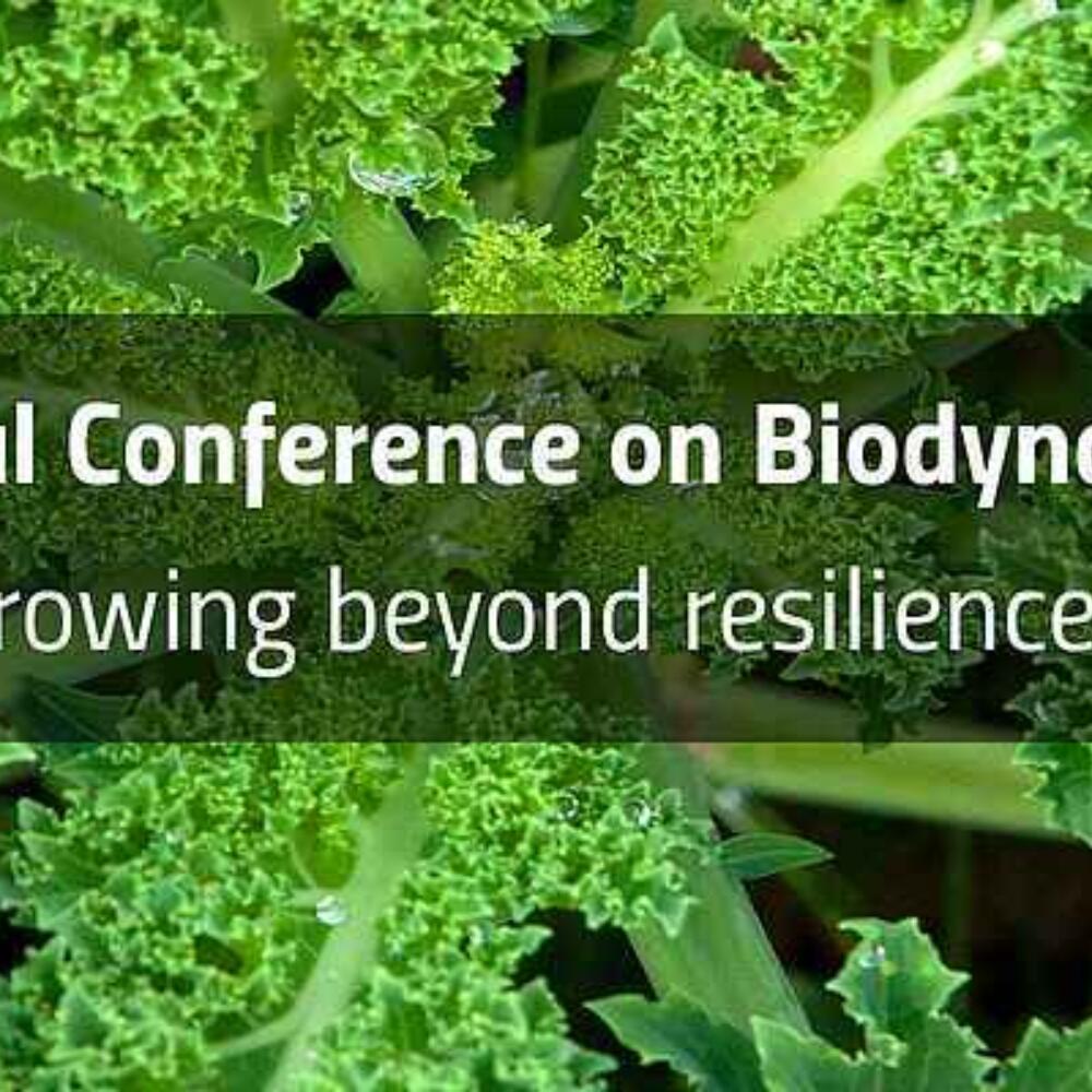 Biodynamic Research Conference 2021 - Veröffentlichung des Tagungsbandes