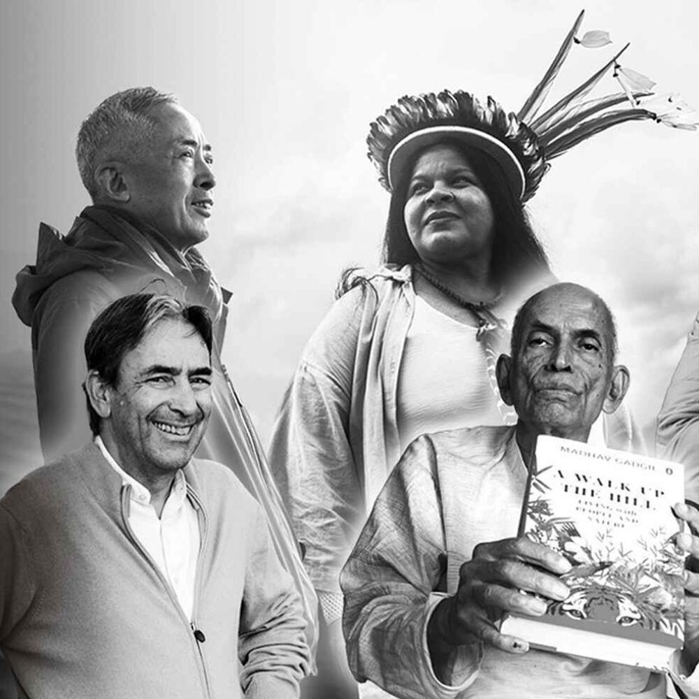 SEKEM gewinnt Champions of the Earth Award 2024