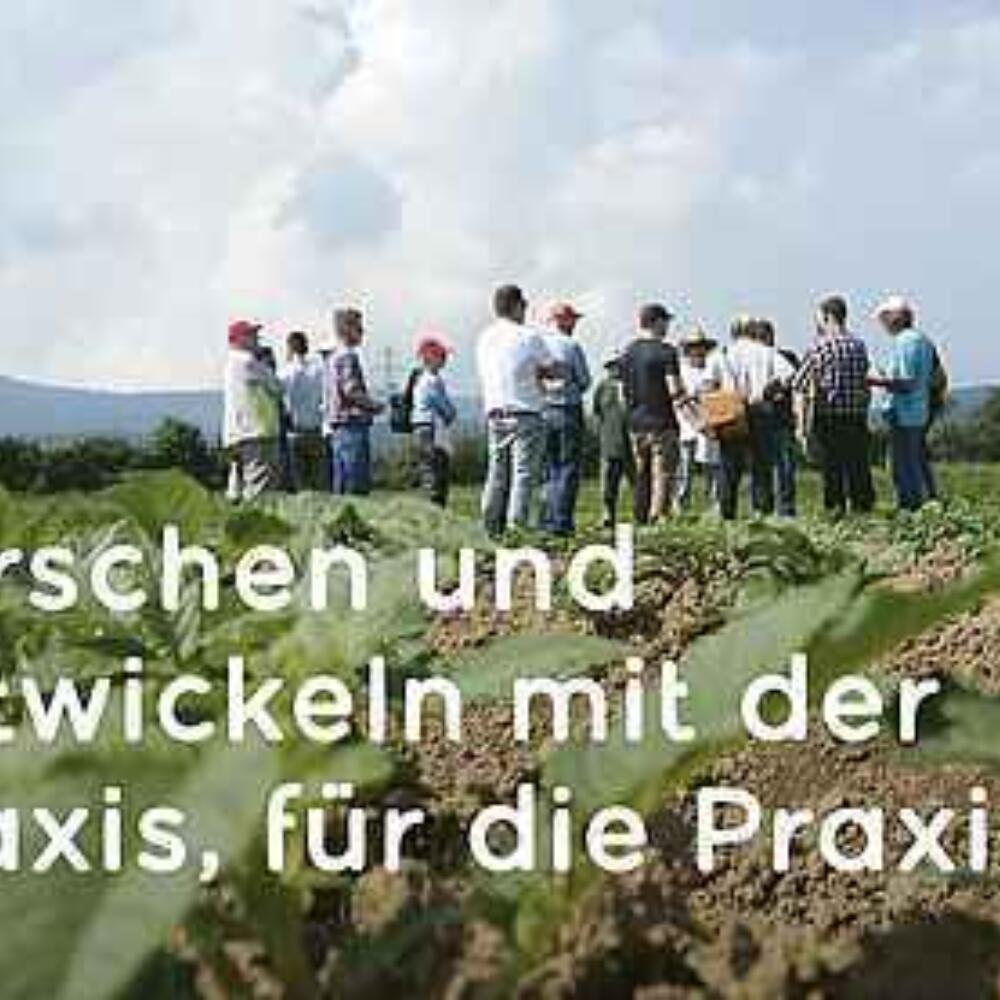 Der DOK-Versuch im Fonds Goetheanum
