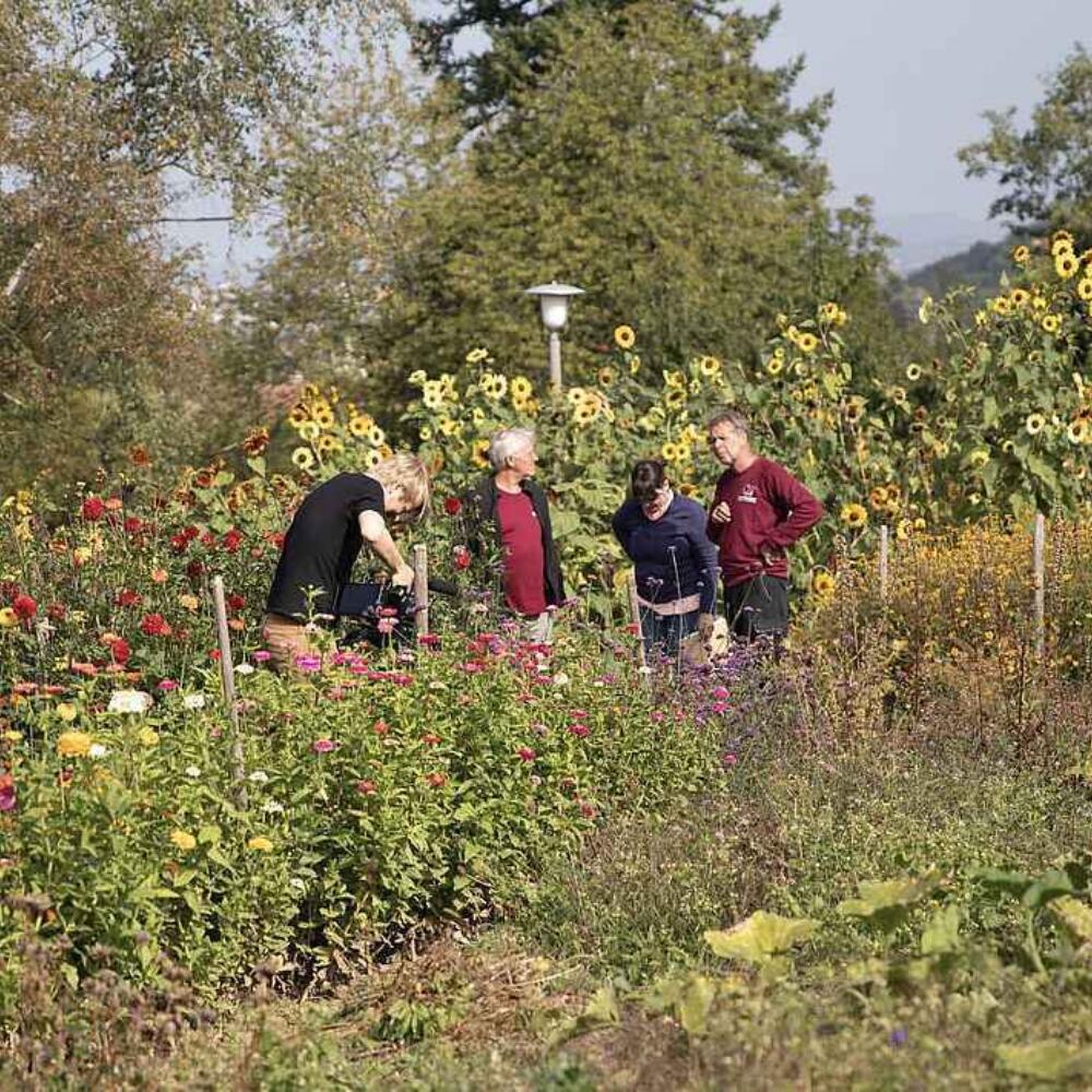 Chancen für eine nachhaltige Landwirtschaft. ​Forschungsprojekt mit Kurzvideos über biodynamische Landwirtschaft