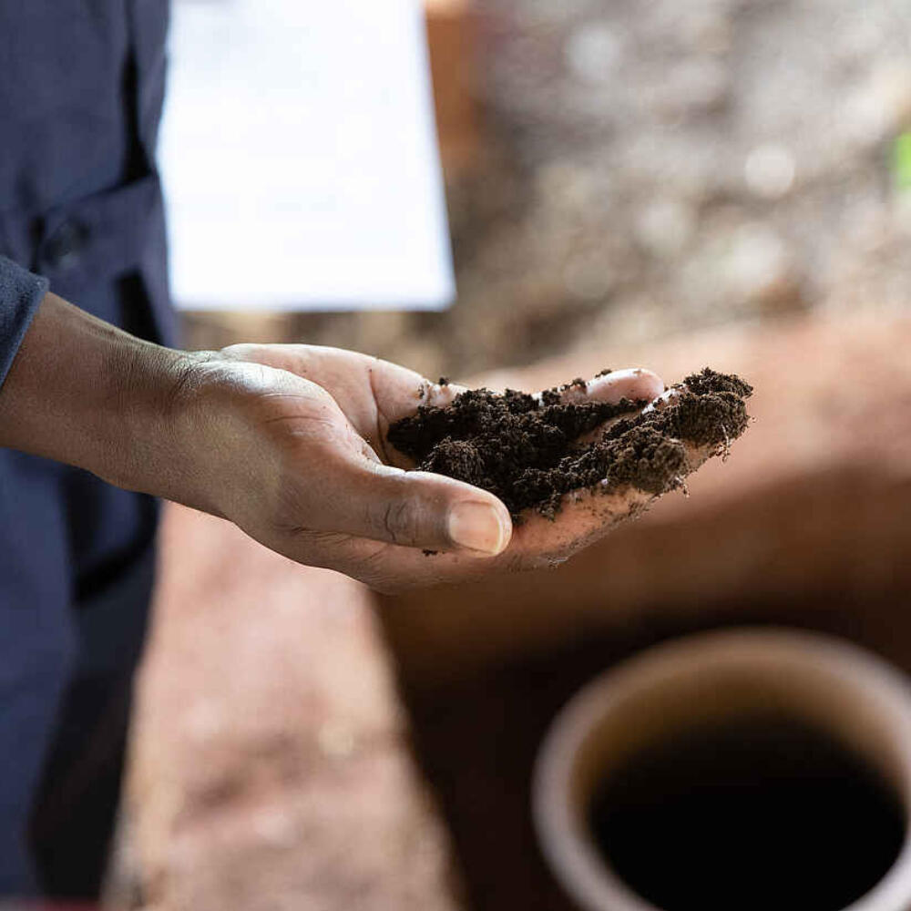 Mehr als Resilienz: ﻿﻿Sektion für Landwirtschaft sammelt Forschungsergebnisse