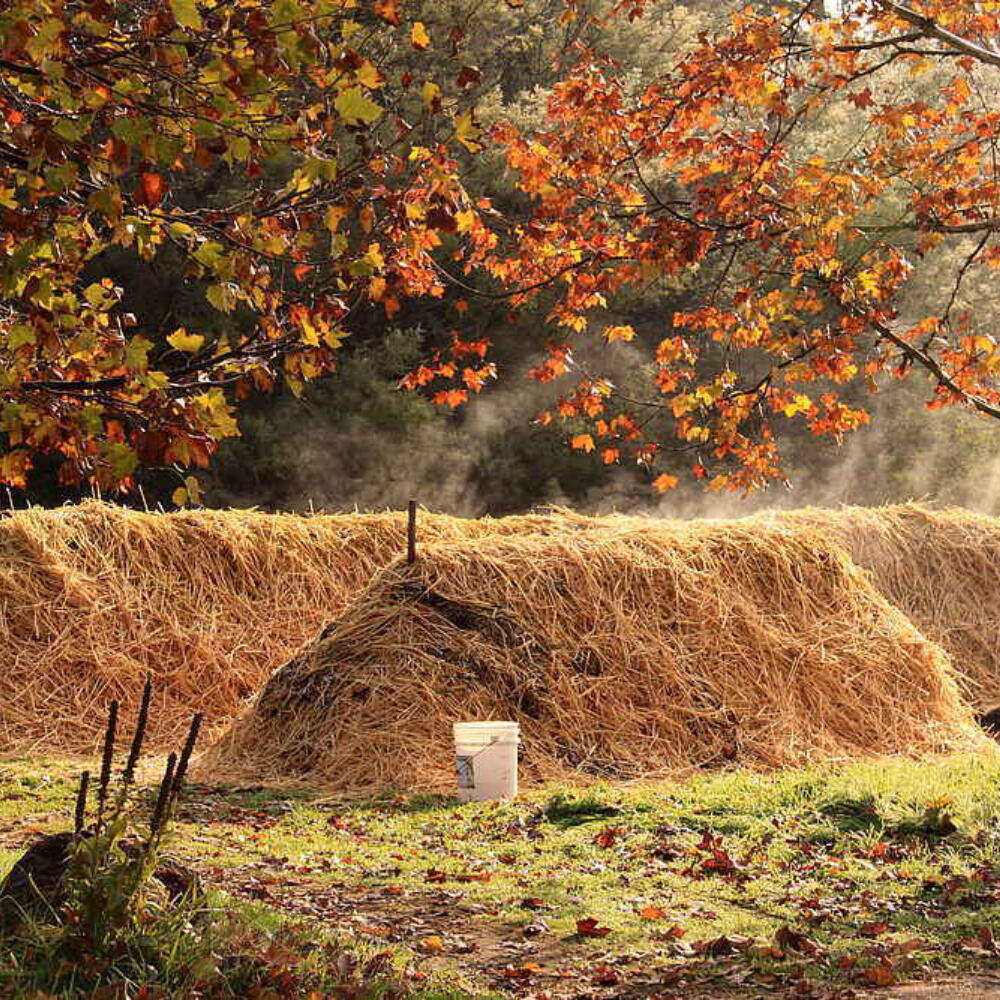 Biodynamische Präparate: Biostimulanzien für Boden und Kompost?