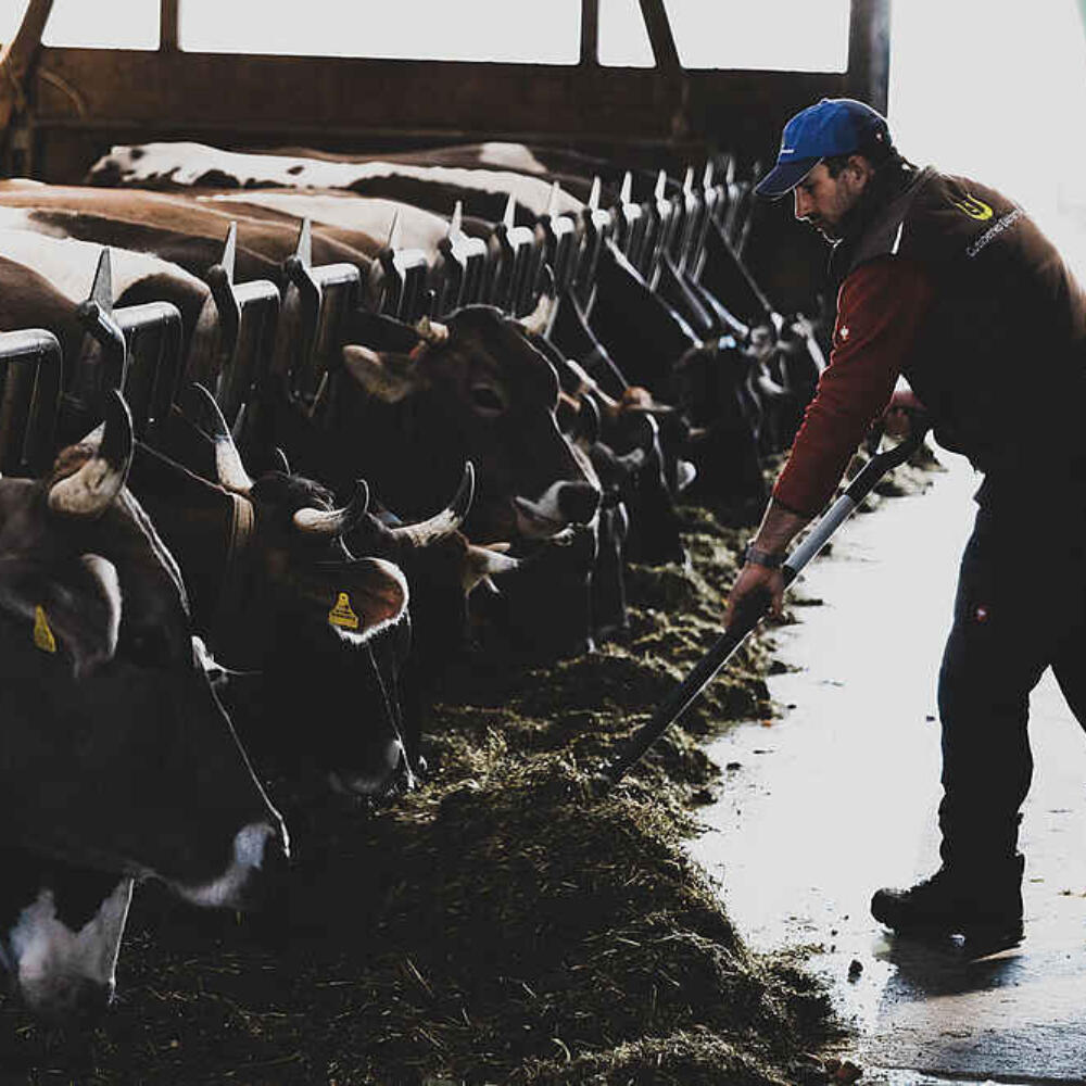 Demeter Schweiz steht ein für eine gesunde Landwirtschaft