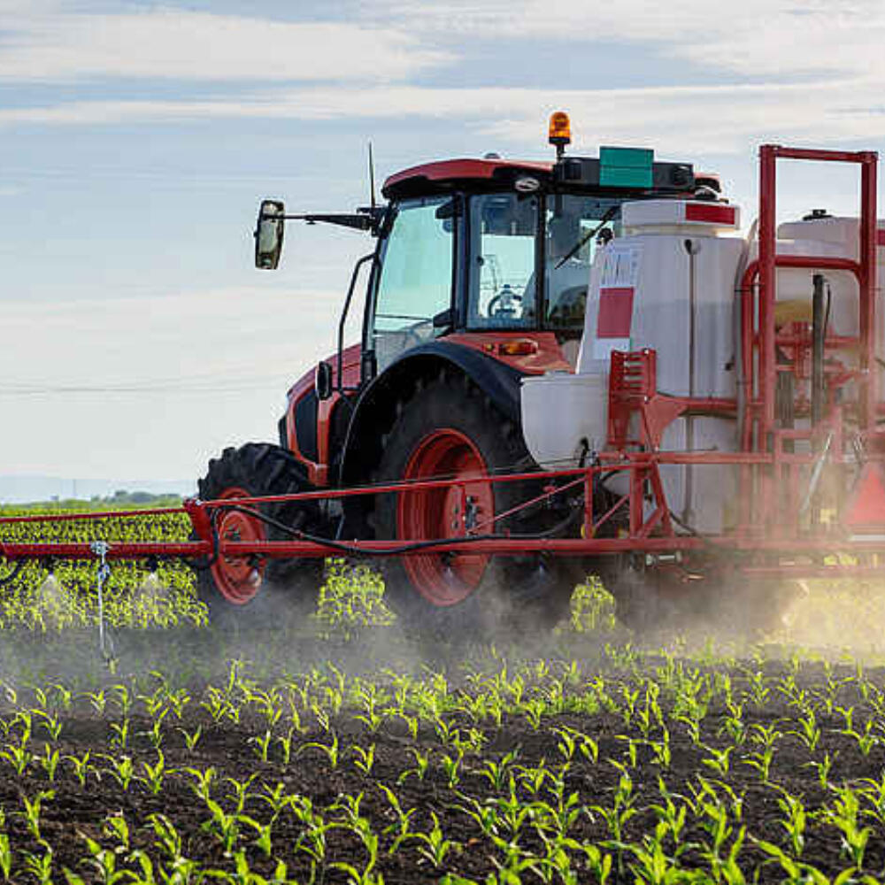 Glyphosat und das Mikrobiom
