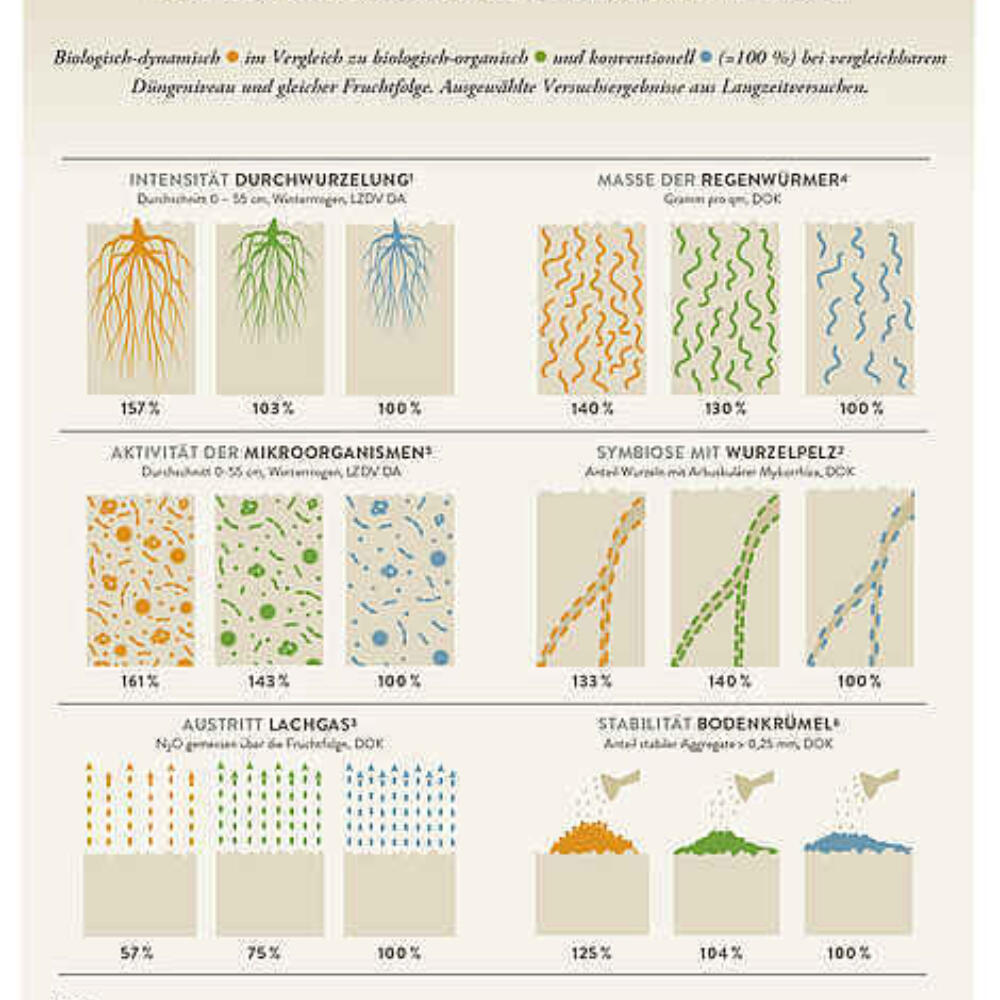 Biodynamische Landwirtschaft verbessert nachweislich den Humusgehalt der Böden