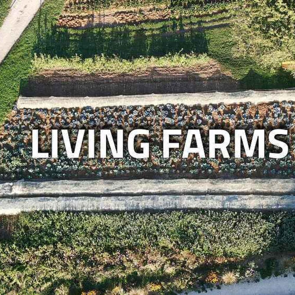 Projekt-Update Living Farms