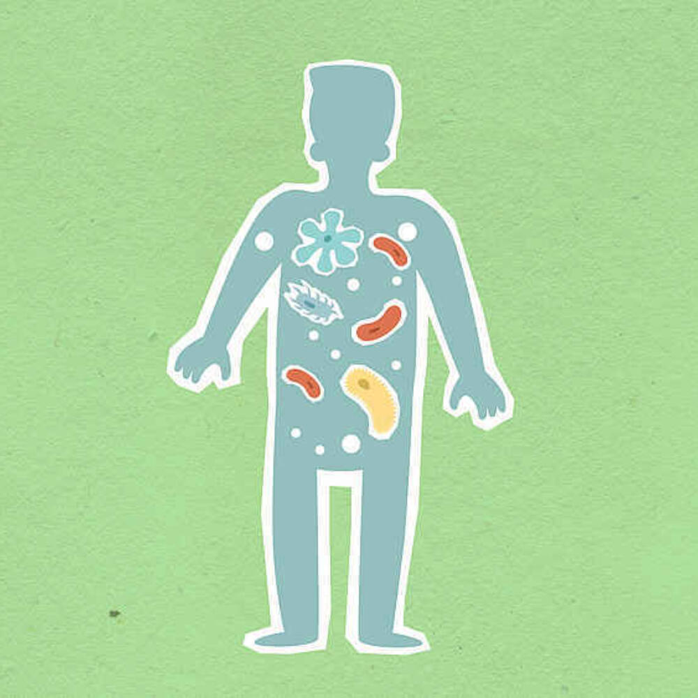 Microbiota