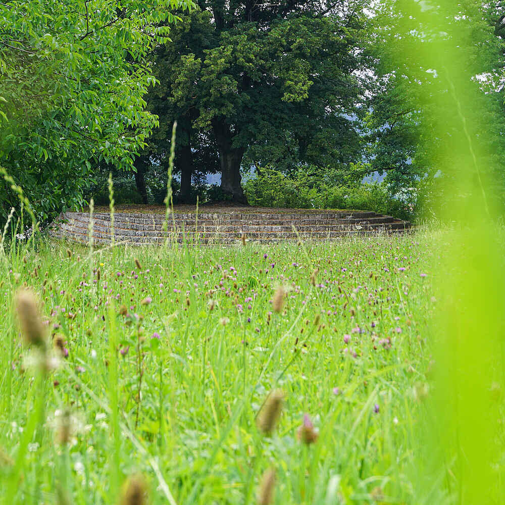 Betteshanger Sommerschule: das fehlende Bindeglied zwischen Biodynamik und biologischem Landbau