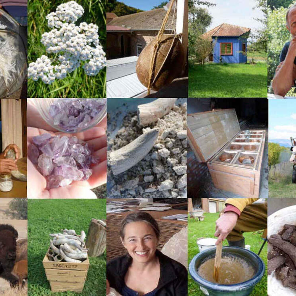 Studie: Die biodynamischen Präparate im Kontext