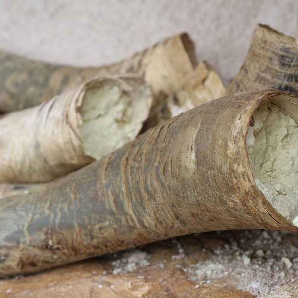 Benefits thanks to unique bacterial communities in the biodynamic preparations