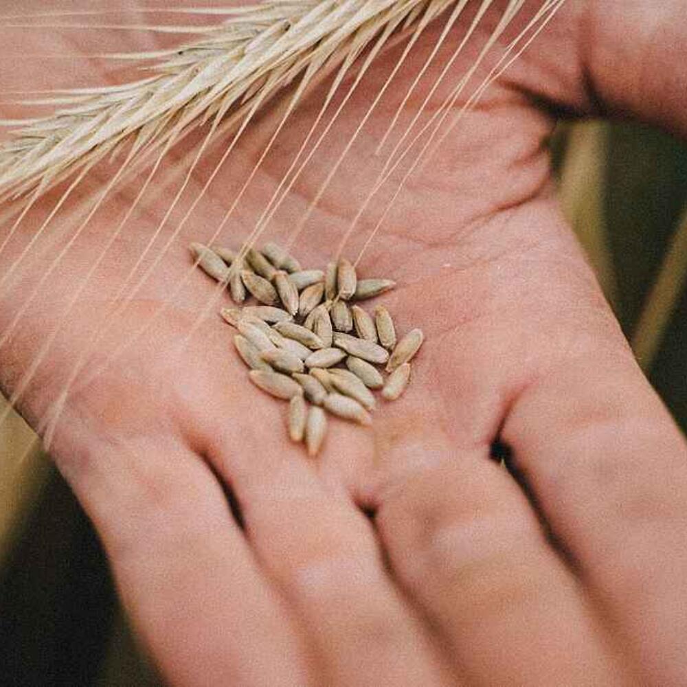 Aufruf: Ihr Beitrag für den "Biodynamic Resource Hub"