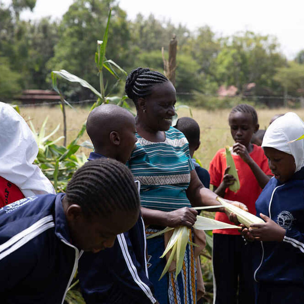 Rudolf Steiner Schule Mbagathi in Nairobi