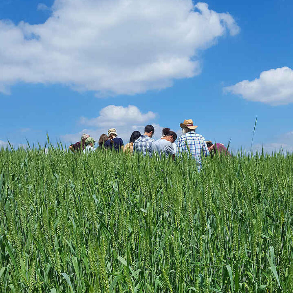 Rückblick – Weiterbildung Biodynamische Pflanzenzüchtung Sommer 2019