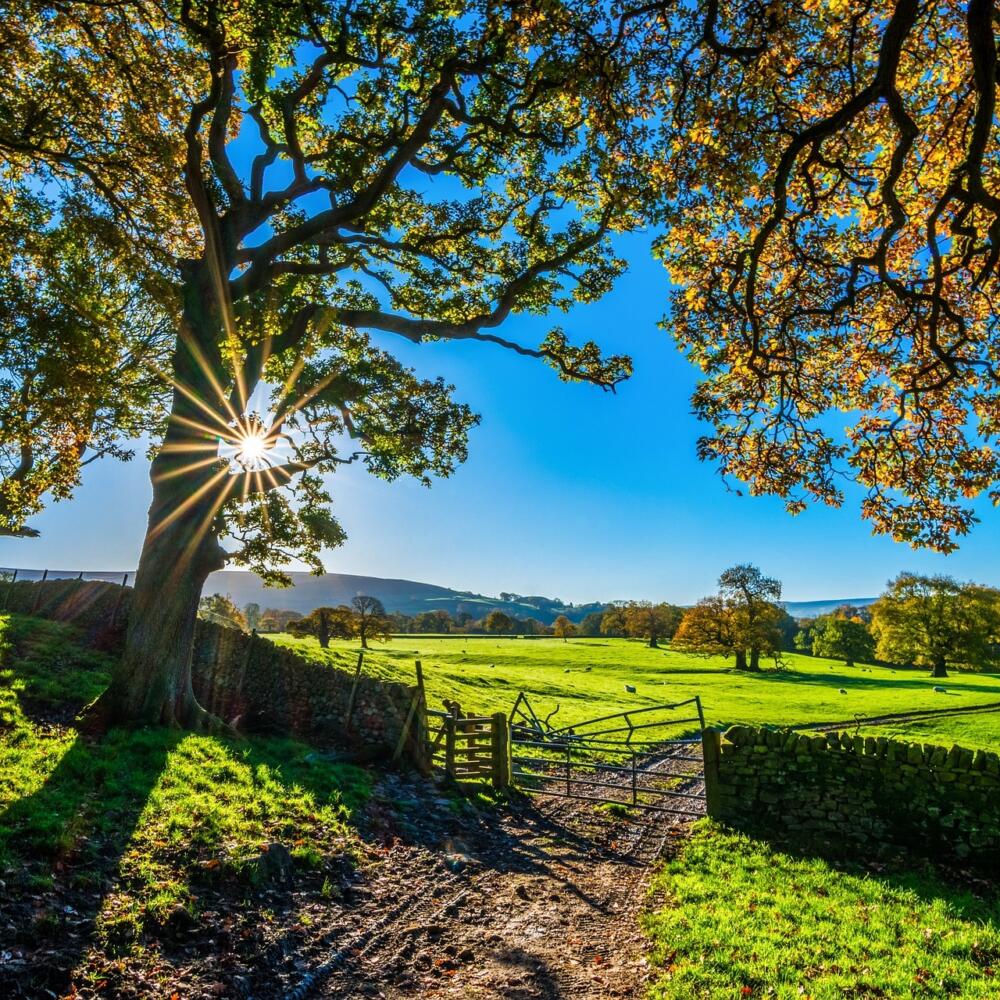 The autonomy of the biodynamic farm organism